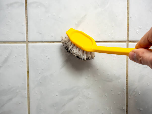 Trusted Fairview Park, OH Mold Removal Experts